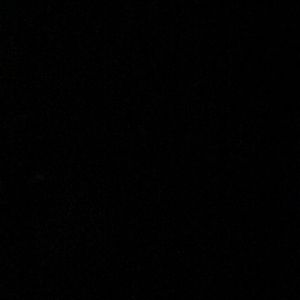 Meet your Posher, Tristan